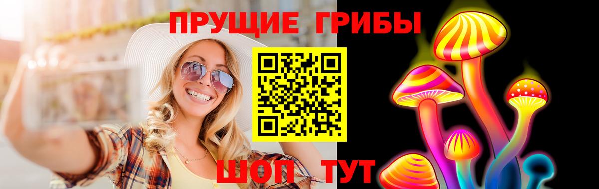 Алексеевка  Галлюциногенные грибы Cubensis  Вход с VPN 